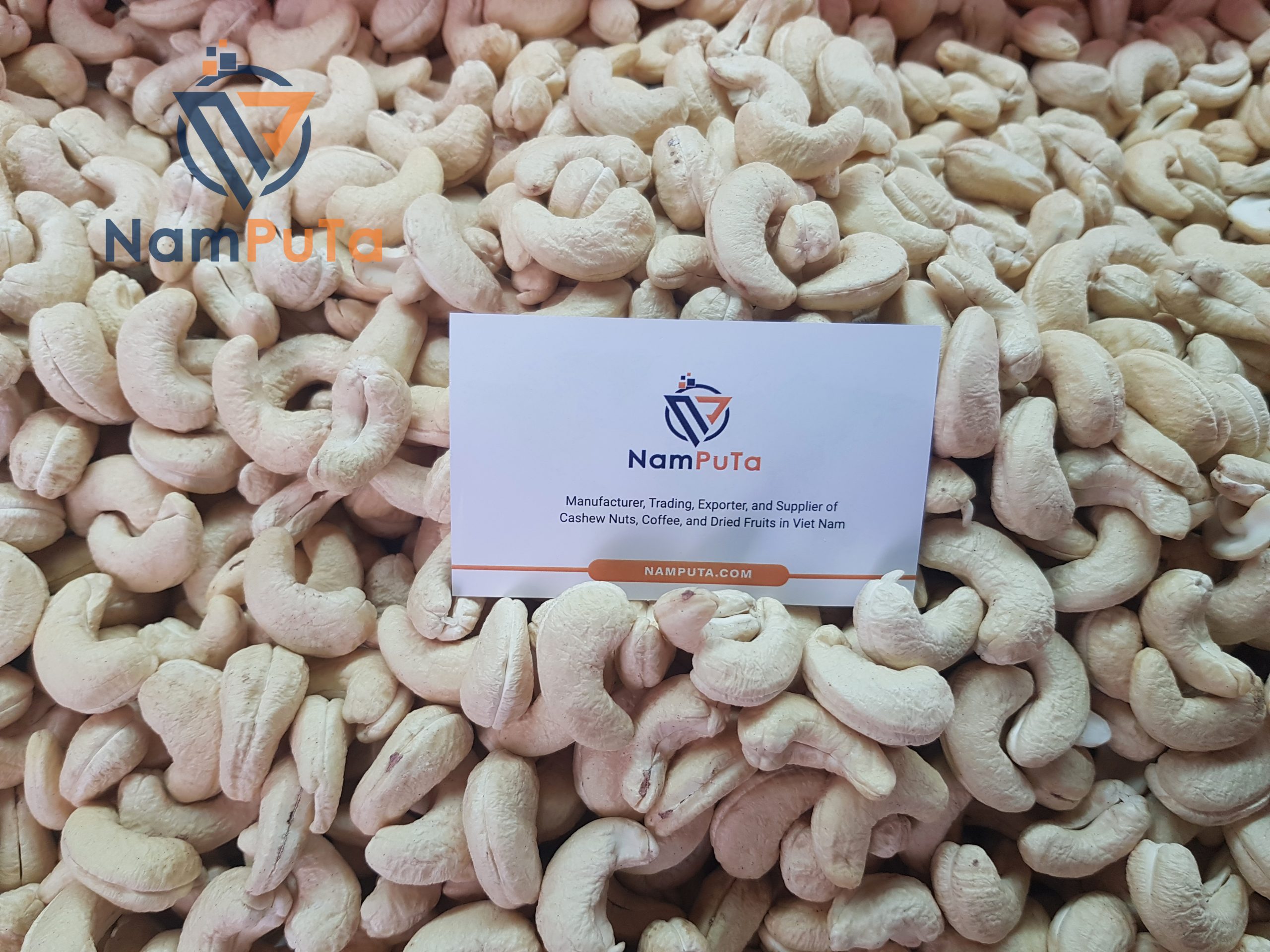 w320 dt daklak namputa export cashew nuts viet nam